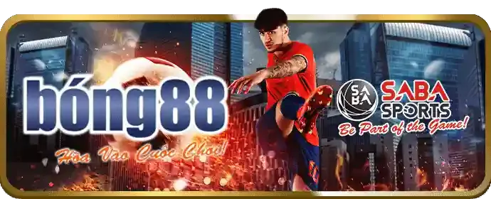 Truyền phát HD